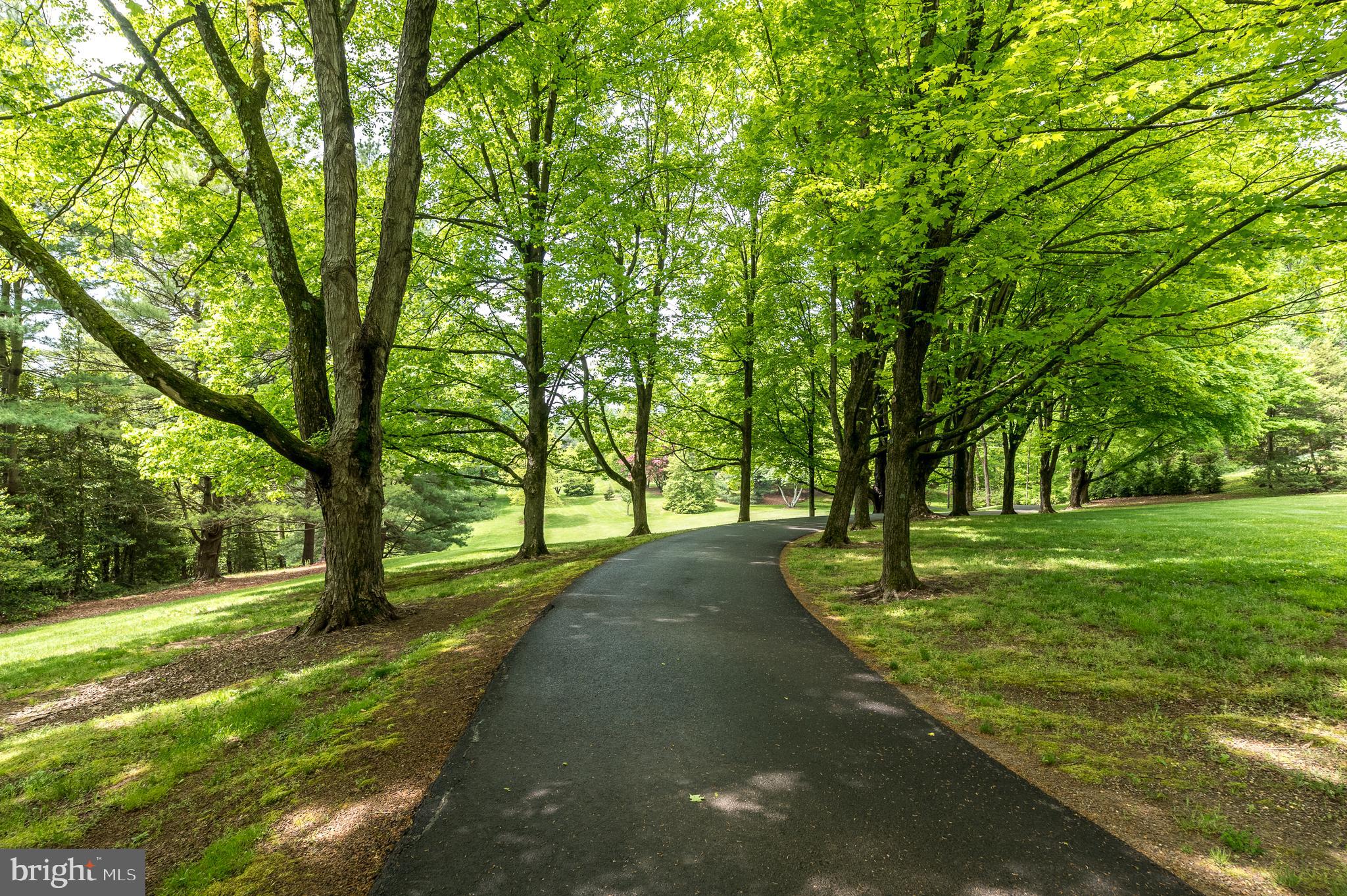 550 Swamp Road Doylestown, PA 18901 - Photo 5 of 75