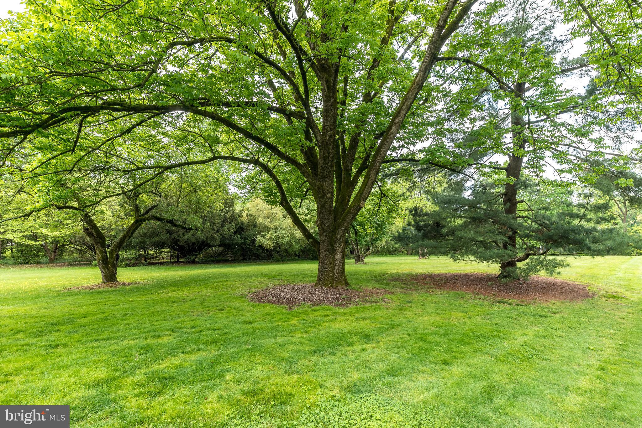 550 Swamp Road Doylestown, PA 18901 - Photo 68 of 75