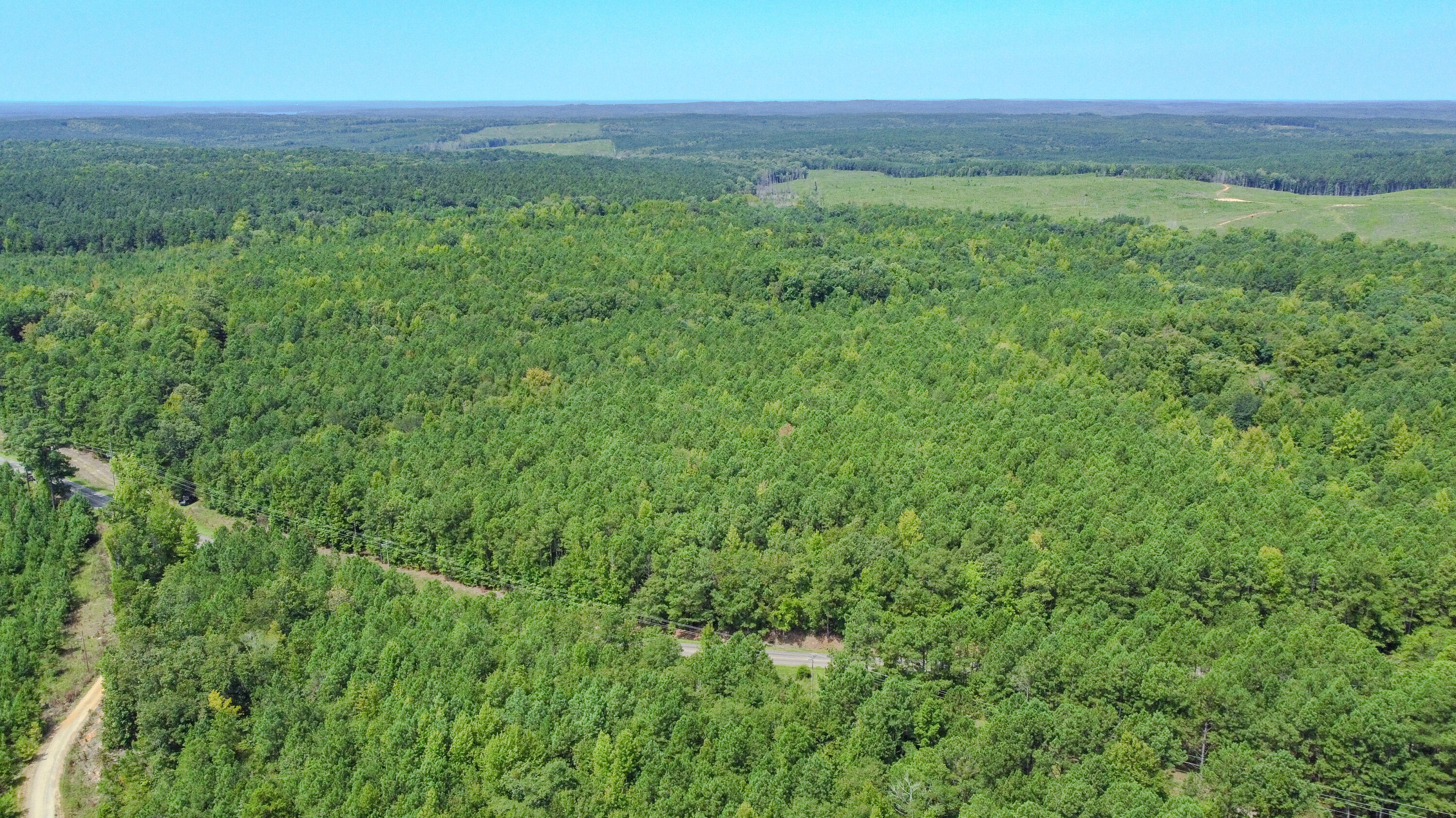3065 Ebenezer Church Road Camden, SC 29020 - Photo 3 of 12 Red Hill Tract South Carolina-09