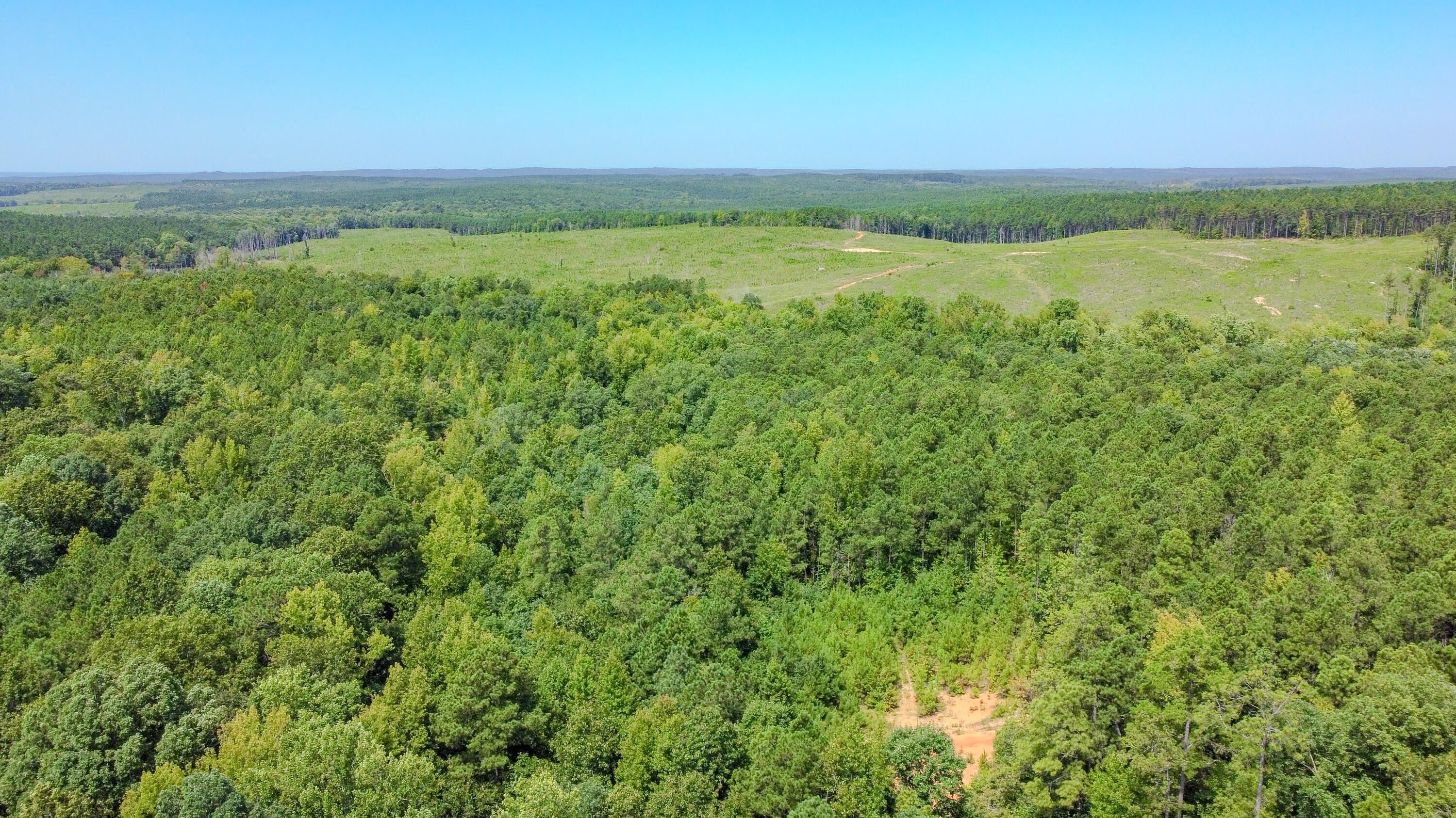 3065 Ebenezer Church Road Camden, SC 29020 - Photo 5 of 12 Red Hill Tract South Carolina-11