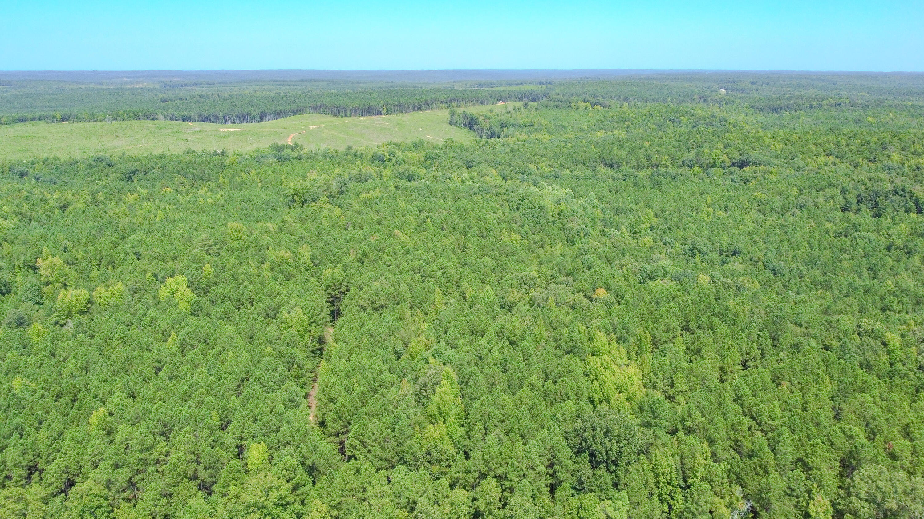 3065 Ebenezer Church Road Camden, SC 29020 - Photo 6 of 12 Red Hill Tract South Carolina-12