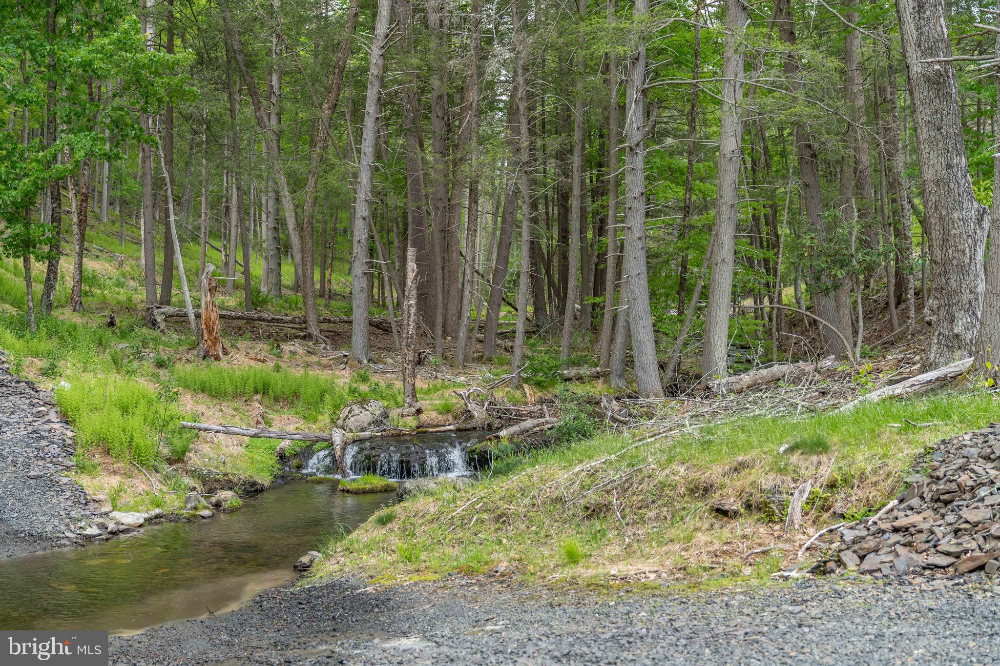 0 Cummins Hill Road Matamoras, PA 18336 - Photo 69 of 116
