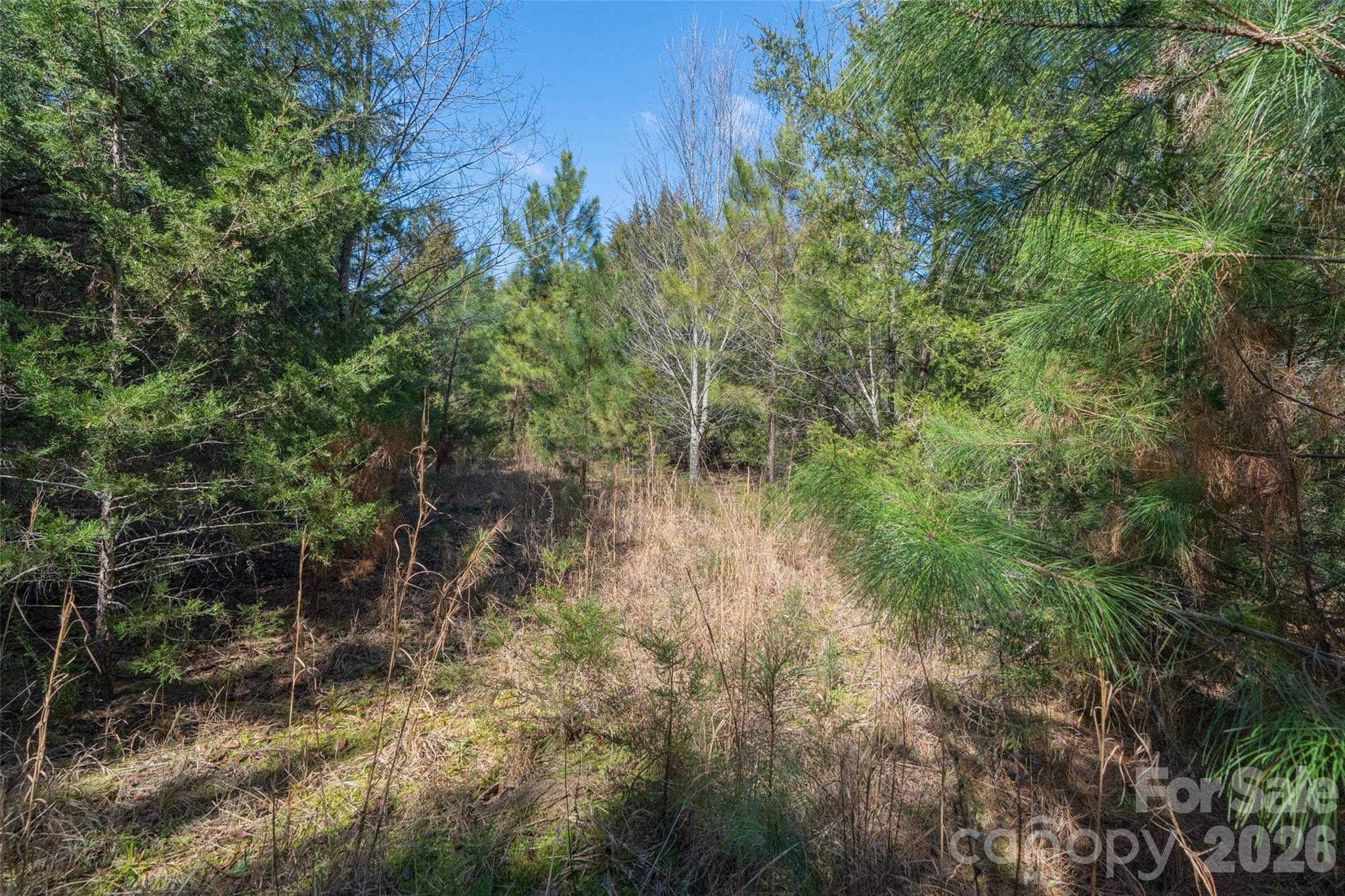 0 Cemetery Road, Unit 1 & 2 Fort Lawn, SC 29714 - Photo 12 of 23 Gallery Image 12