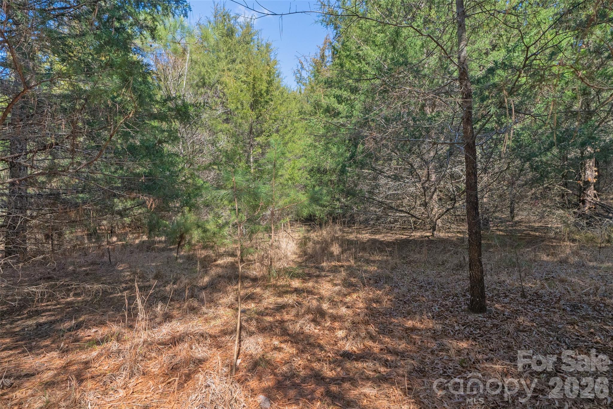0 Cemetery Road, Unit 1 & 2 Fort Lawn, SC 29714 - Photo 15 of 23 Gallery Image 15