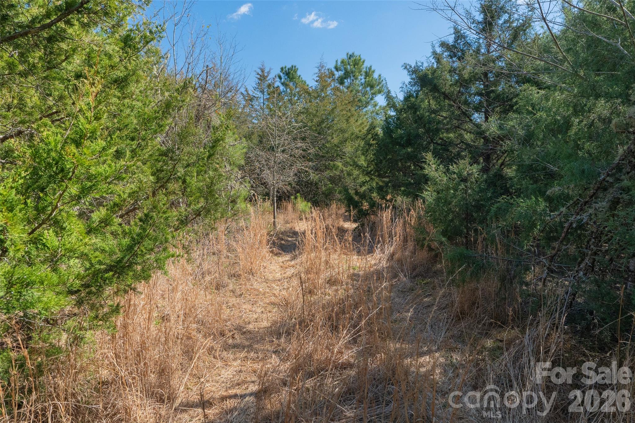 0 Cemetery Road, Unit 1 & 2 Fort Lawn, SC 29714 - Photo 20 of 23 Gallery Image 20
