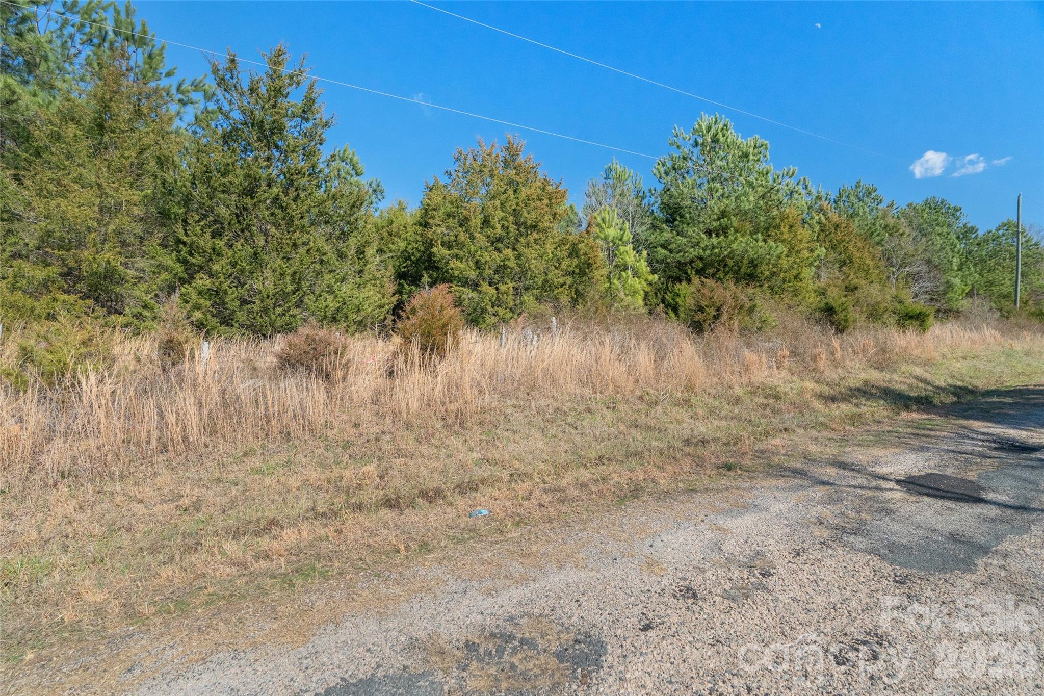 0 Cemetery Road, Unit 1 & 2 Fort Lawn, SC 29714 - Photo 2 of 23 Gallery Image 2