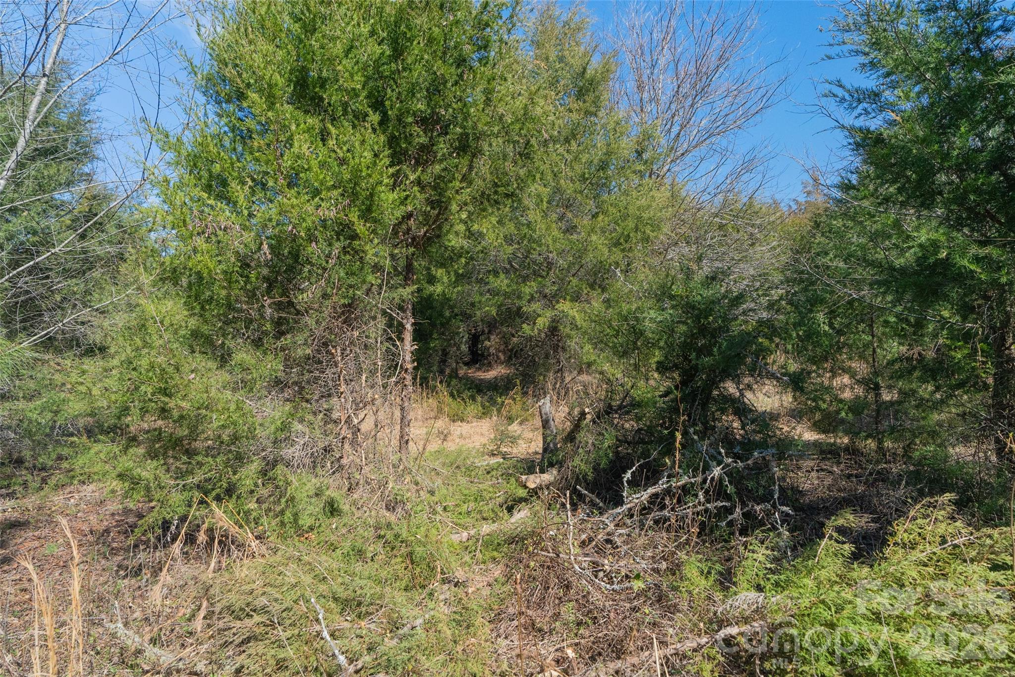 0 Cemetery Road, Unit 1 & 2 Fort Lawn, SC 29714 - Photo 8 of 23 Gallery Image 8