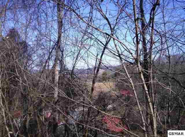 37 Hideaway Ridge Circle Sevierville, TN 37862 - Photo 8 of 10 Gallery Image 8