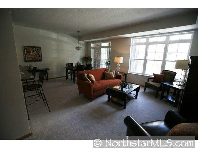 2550 38th Avenue Northeast, Unit 108 St. Anthony, MN 55421 - Photo 3 of 10