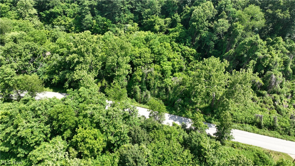 Nicolette Road Parkersburg, WV 26104 - Photo 4 of 11