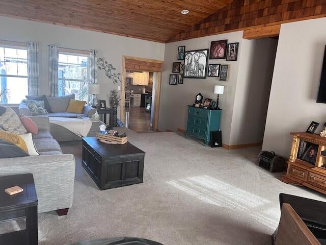 7644 Spruce Road Alpena, MI 49707 - Photo 39 of 96 Gallery Image 39