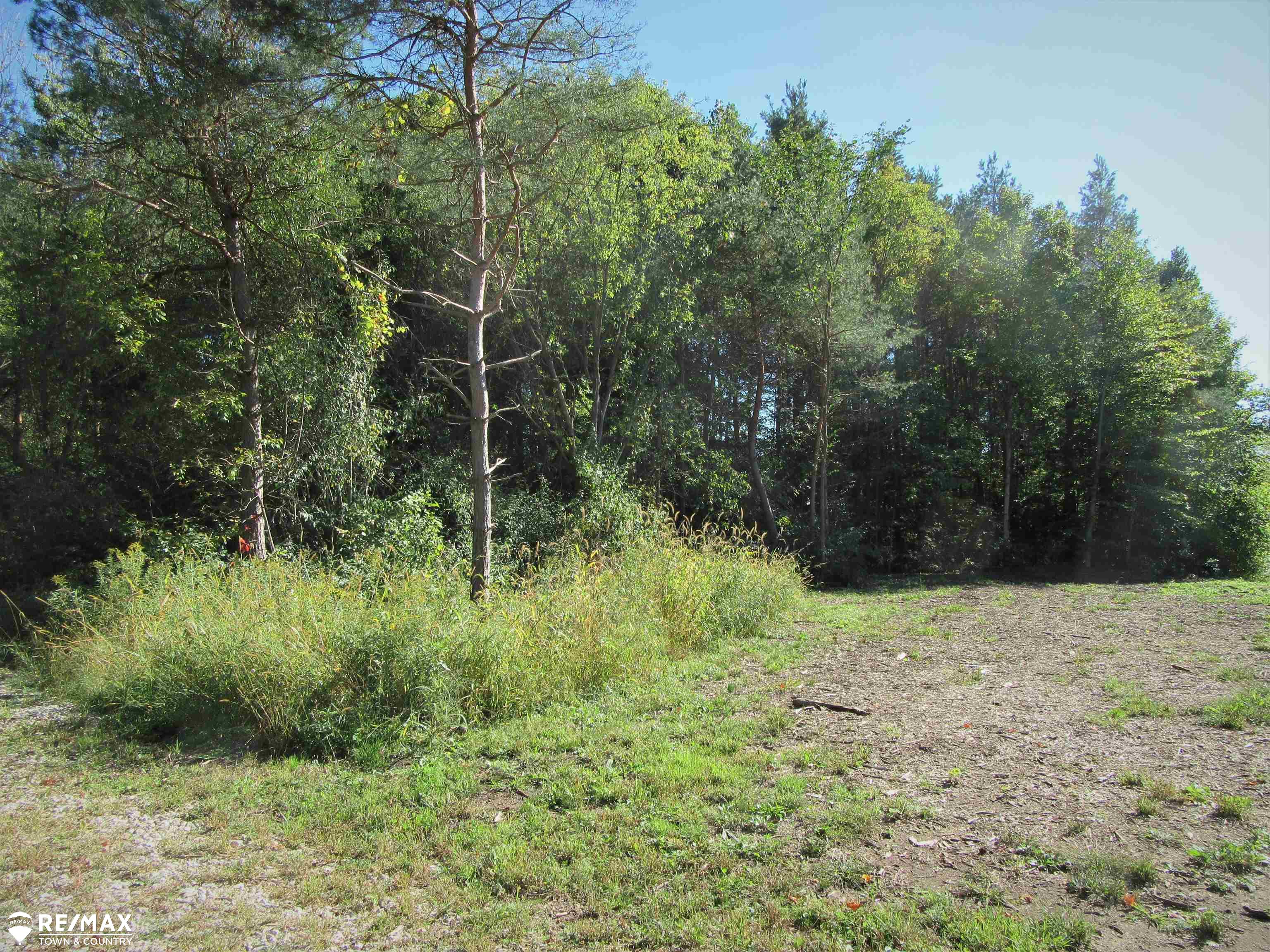 Vl North McKinley Road Flushing, MI 48433 - Photo 2 of 8