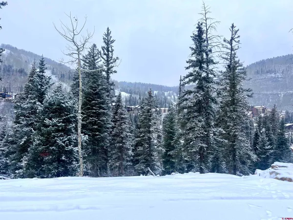 a view of a backyard of the house