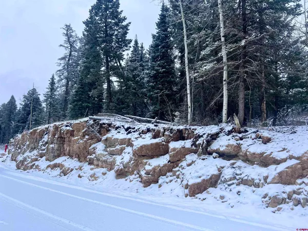 a view of a city with tree s