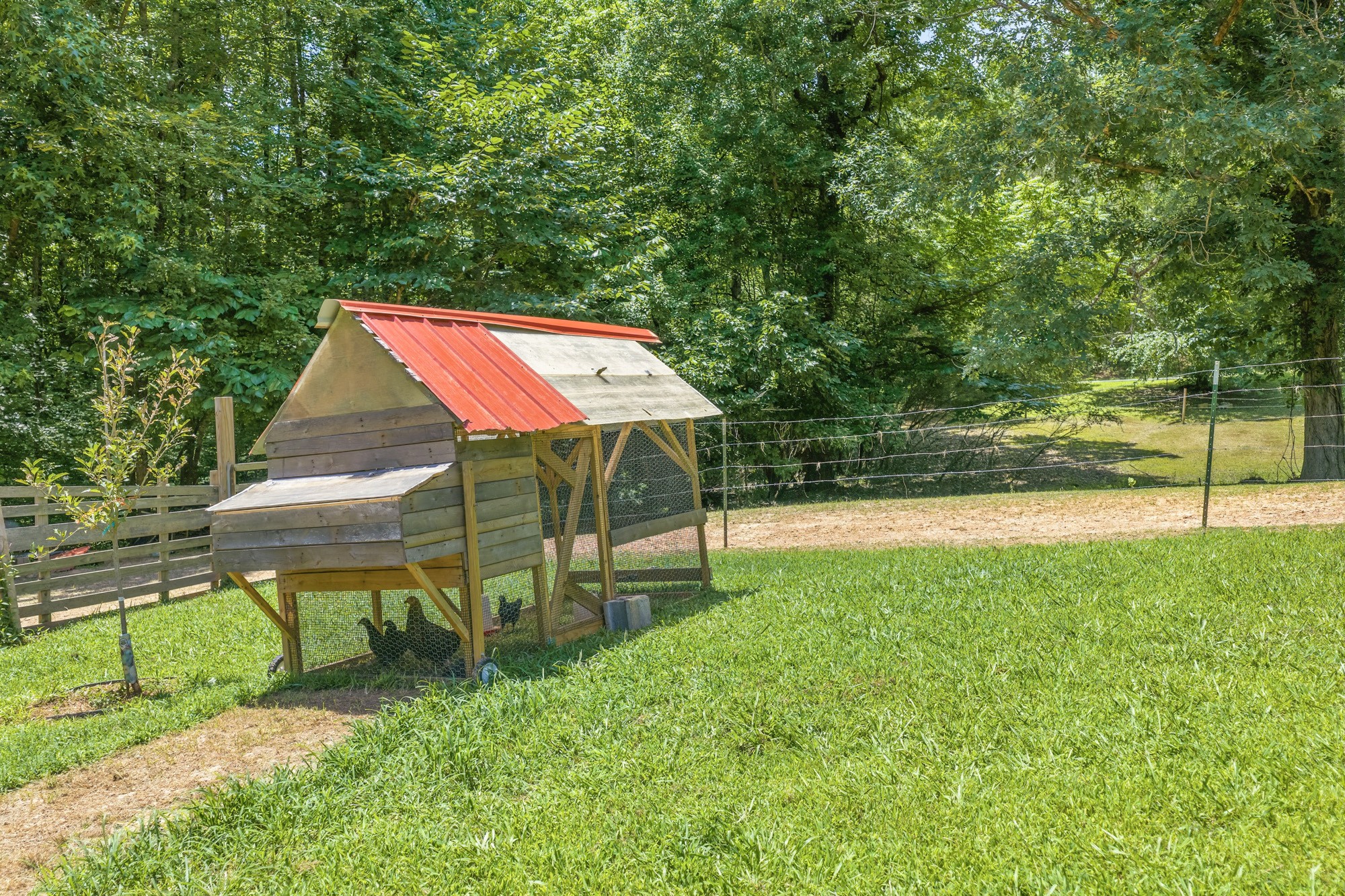 38 Doe Creek Road Sardis, TN 38371 - Photo 31 of 41