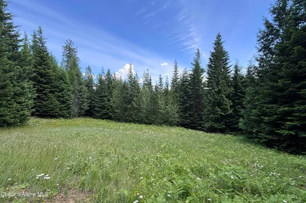 $224,000 | 1046 Saddleback Drive, Naples, ID 83847