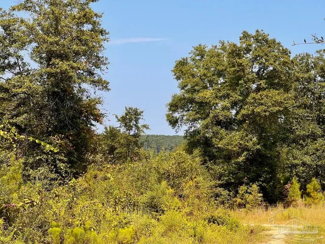 $190,000 | Lot 19 Morgans Branch, Molino, FL 32577