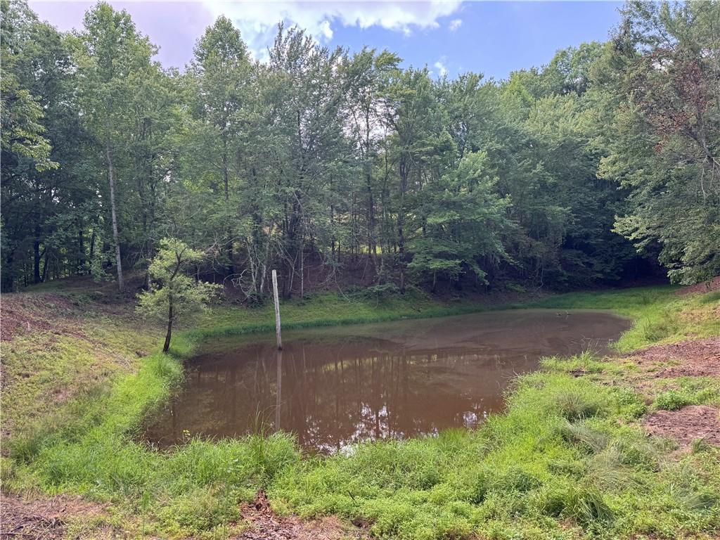 3.5-ac Ben Higgins Road Dahlonega, GA 30533 - Photo 1 of 21