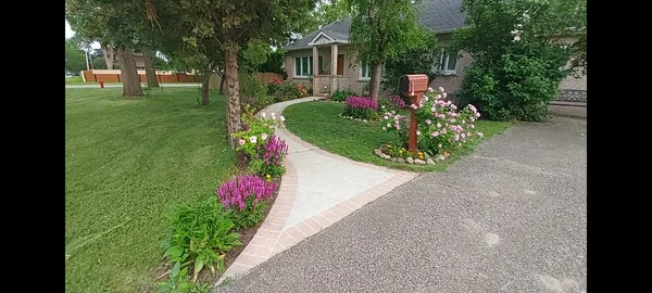a view of a garden with potted plants and large trees