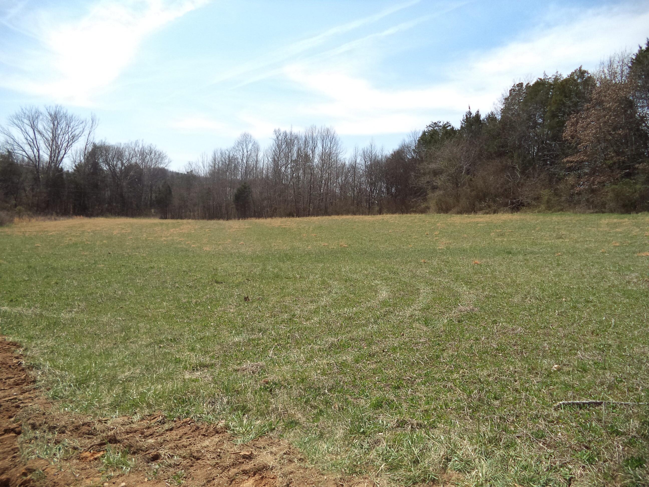 151 Paint Rock Road Kingston, TN 37763 - Photo 27 of 34 image