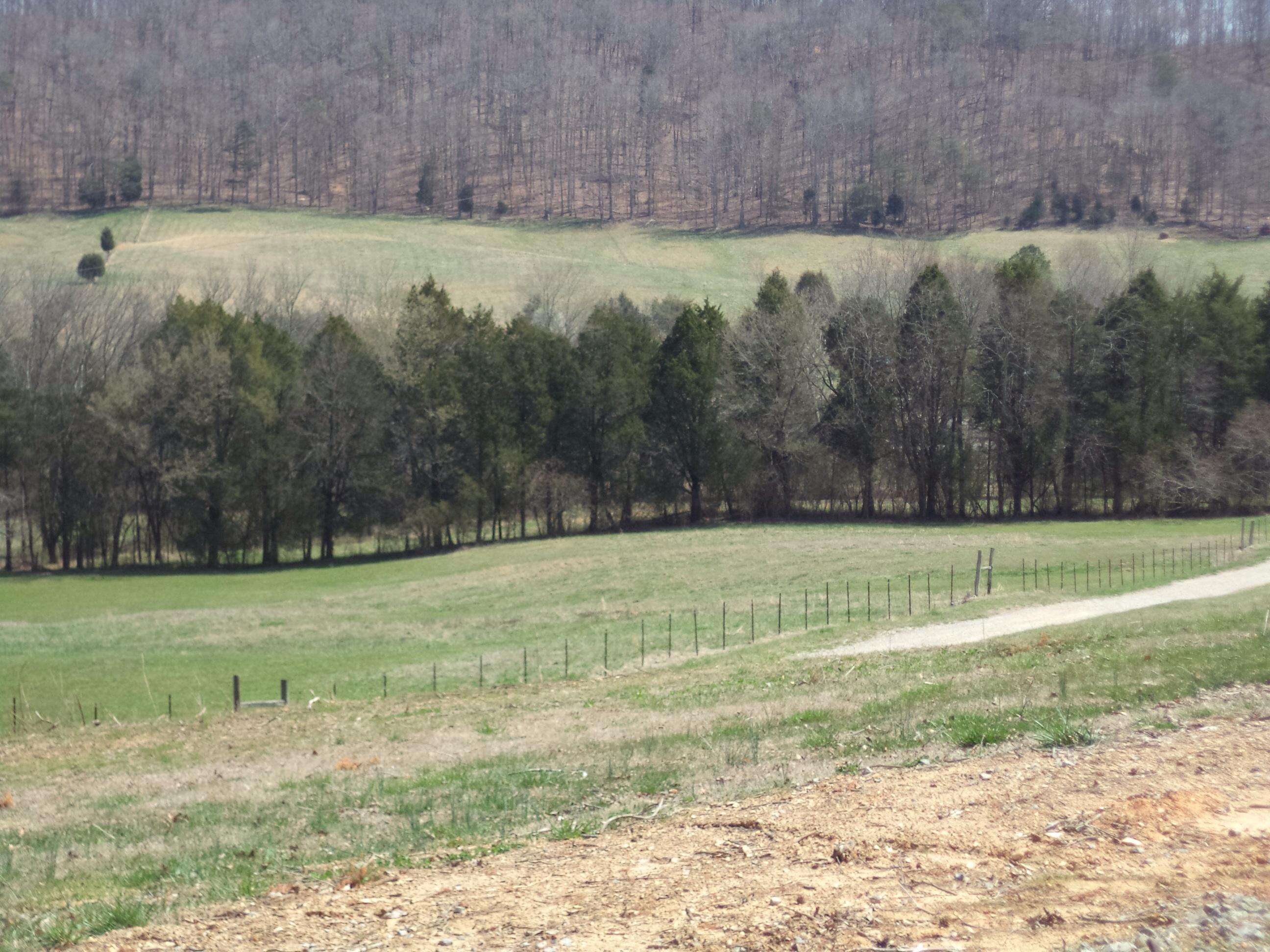 151 Paint Rock Road Kingston, TN 37763 - Photo 30 of 34 image