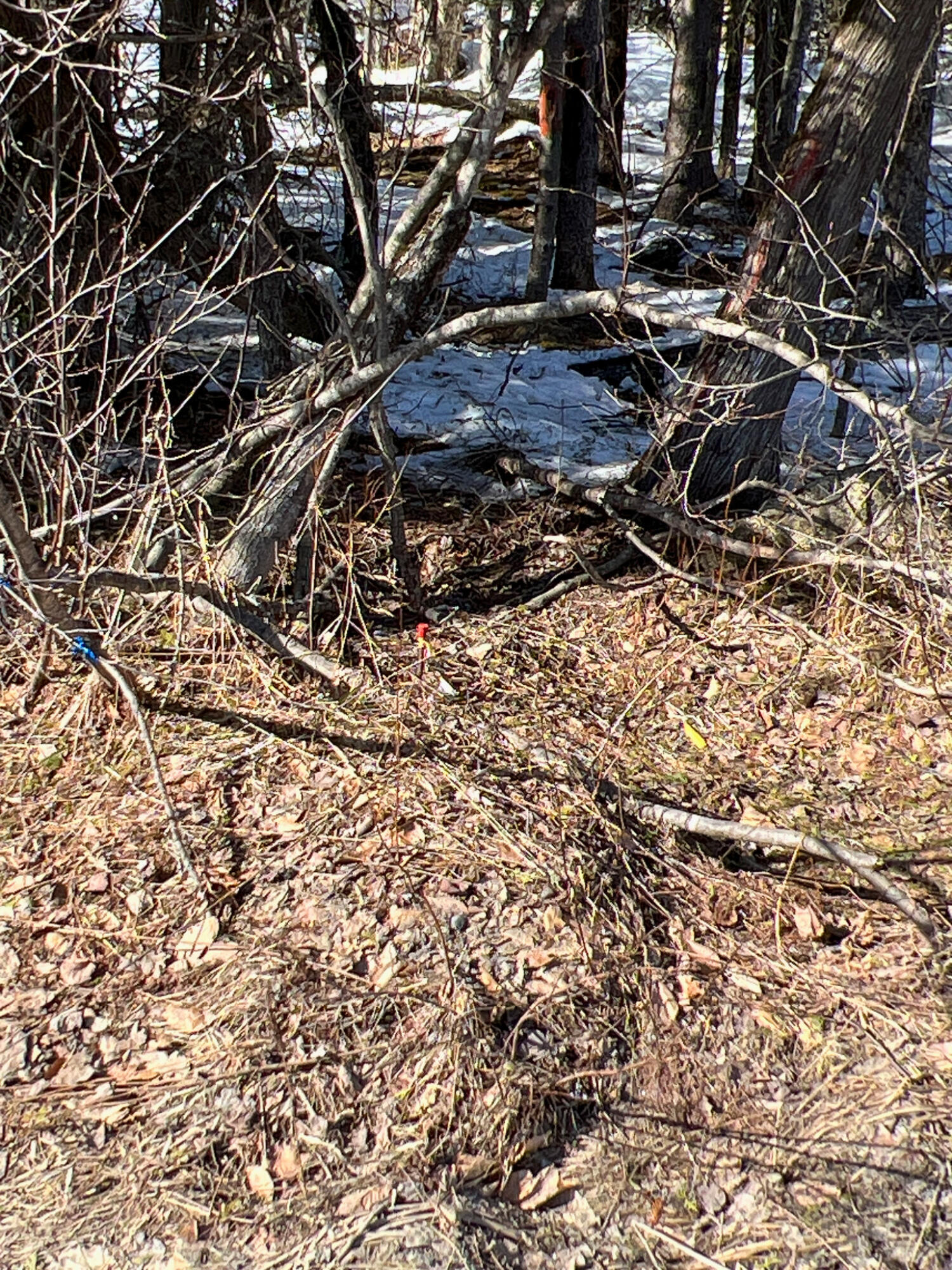 M6-l16 Downs Road Sebec, ME 04481 - Photo 21 of 21 21