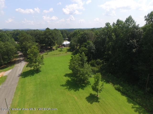 617 Blackwood Road Parrish, AL 35580 - Photo 3 of 18 Gallery Image 3