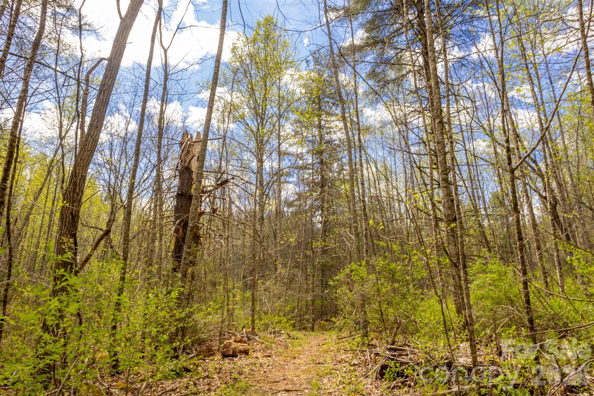 82 Mdw Rdg Court Tuckasegee, NC 28783 - Photo 28 of 39