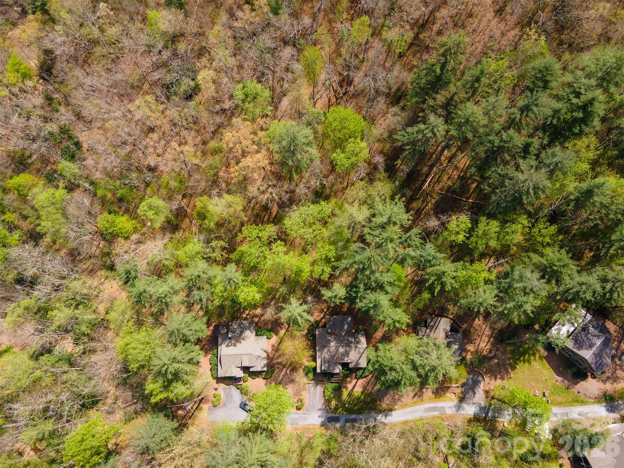 82 Mdw Rdg Court Tuckasegee, NC 28783 - Photo 30 of 39 a view of a tree with a yard
