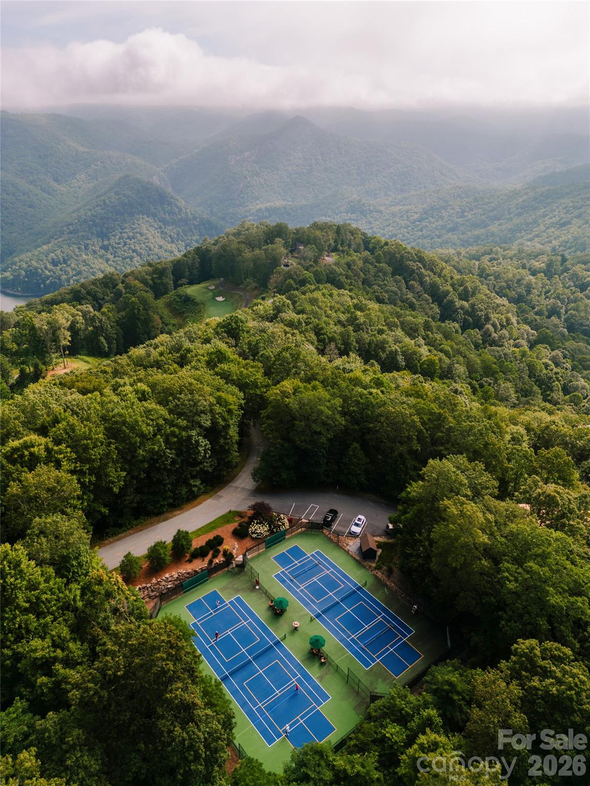 82 Mdw Rdg Court Tuckasegee, NC 28783 - Photo 38 of 39 an aerial view of residential house with outdoor space and trees