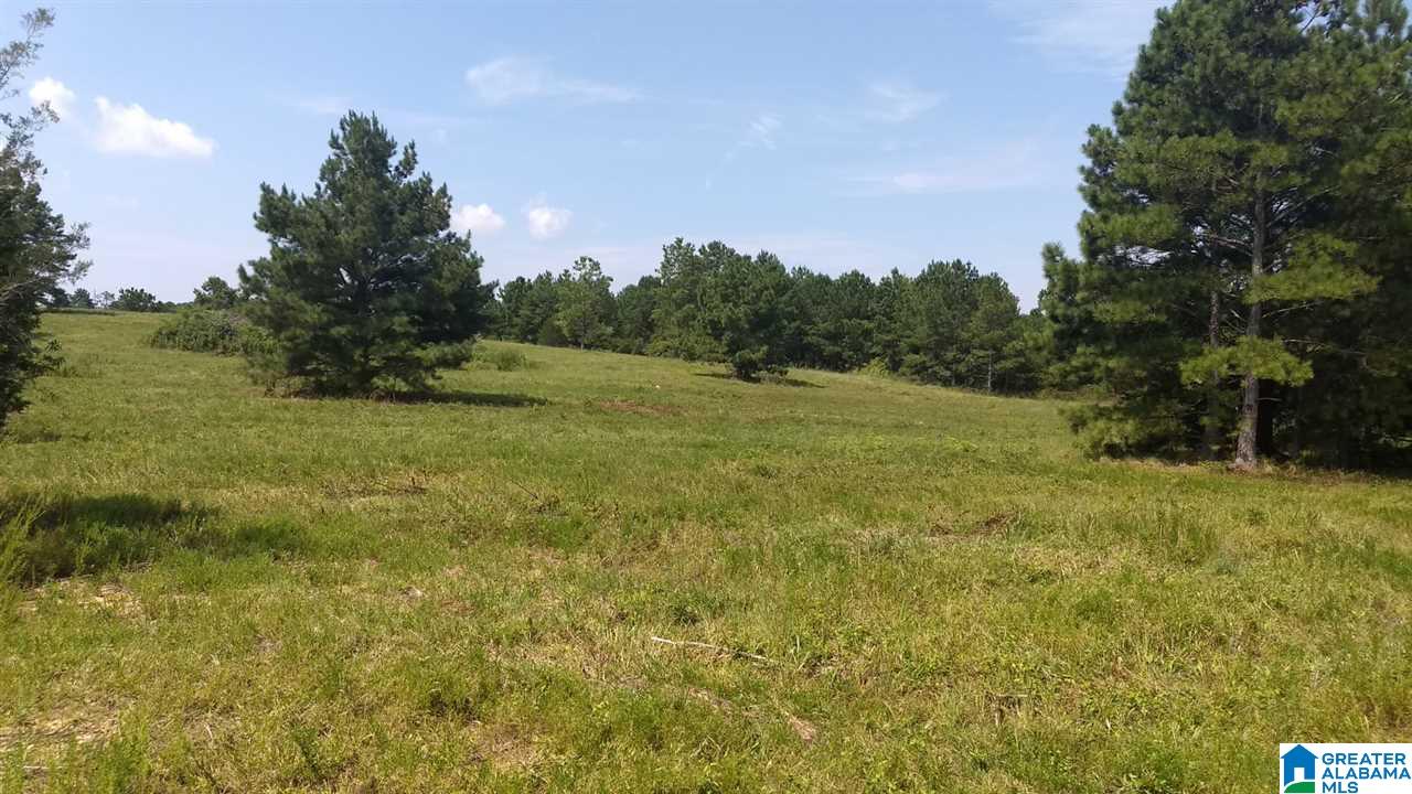 0 Highway 27 Springville Al Springville, AL 35146 - Photo 7 of 12