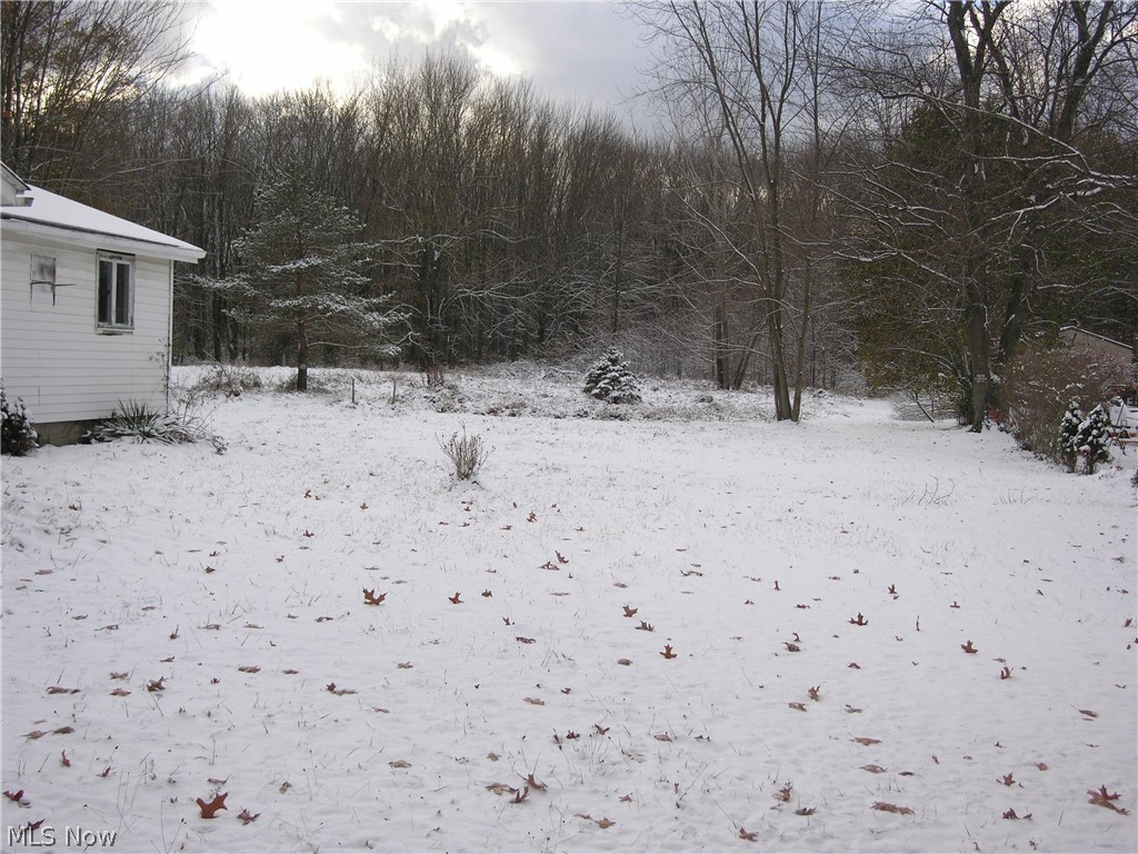 5298 Lear Nagle Road North Ridgeville, OH 44039 - Photo 3 of 19