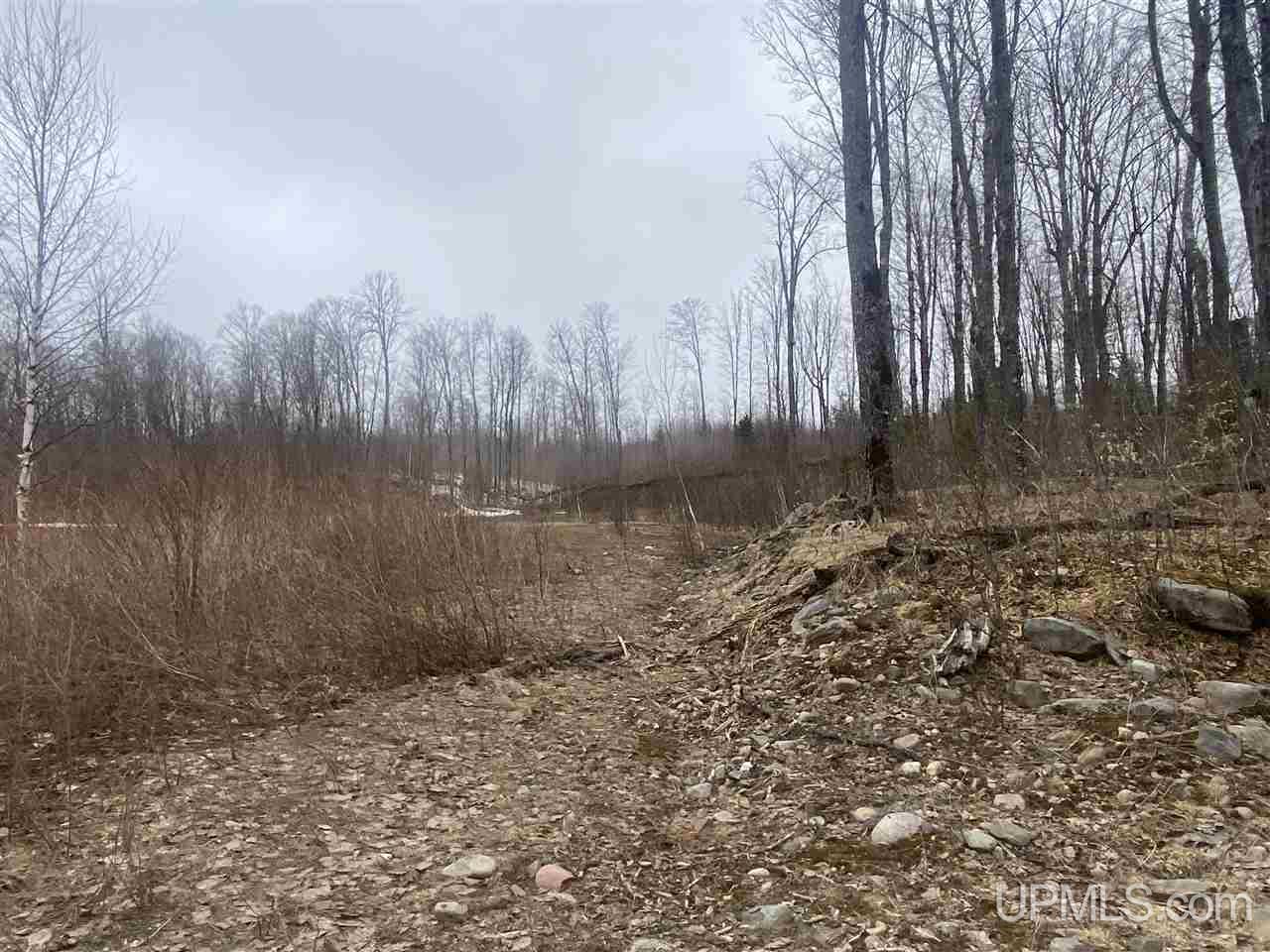 Tbd West Tamarack Lake Road, Unit 17 Iron River, MI 49935 - Photo 30 of 45