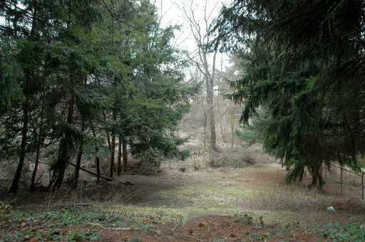907 Roland Road Pittsburgh, PA 15221 - Photo 8 of 8 Other.