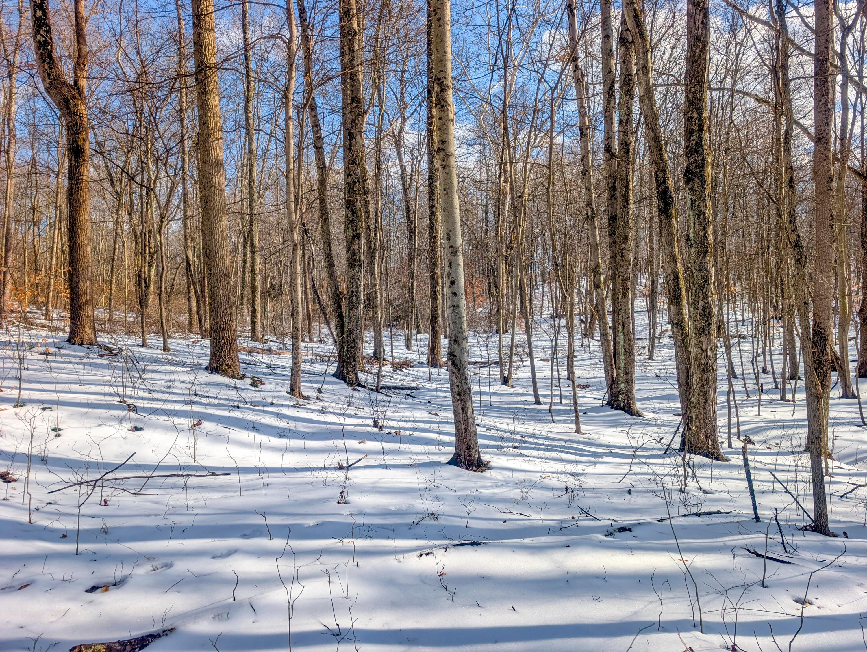15 Peaker Run Road Macksburg, OH 45746 - Photo 25 of 36 Tract 15_TD-16