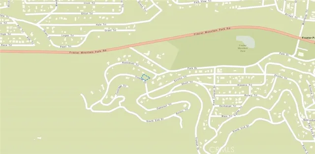 a close up of a plant