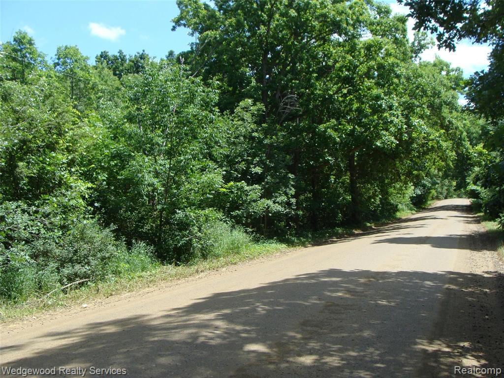 0 East Rose Center Road Pontiac, MI 48342 - Photo 2 of 18