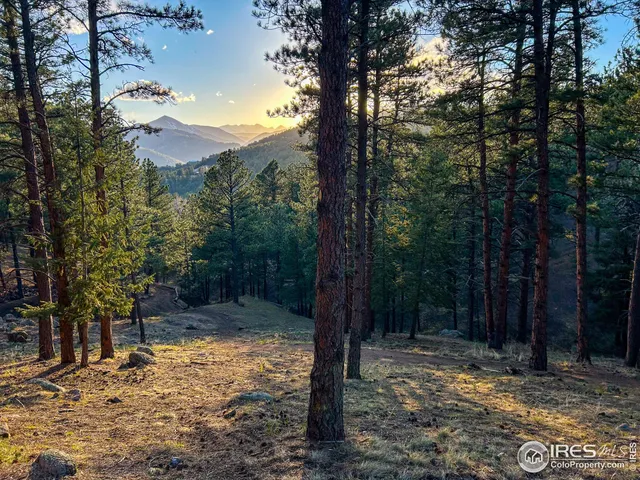 a backyard of a house with large trees