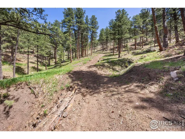 a view of a yard with trees