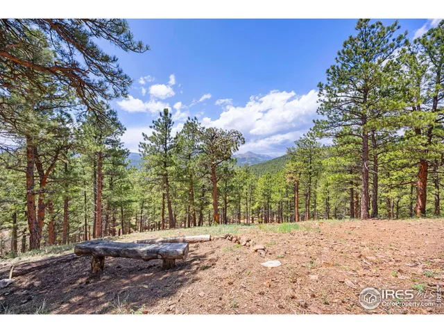 a view of outdoor space yard and trees