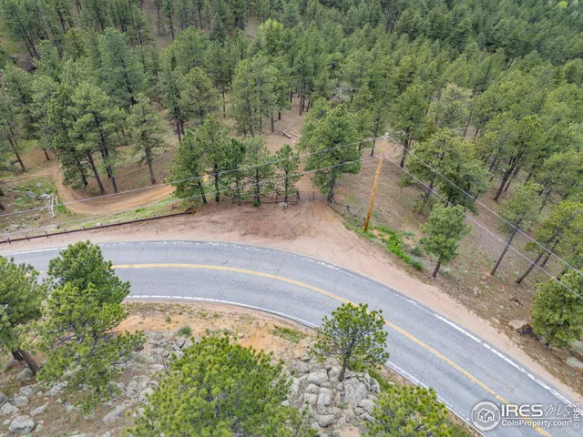 a view of a yard with plants