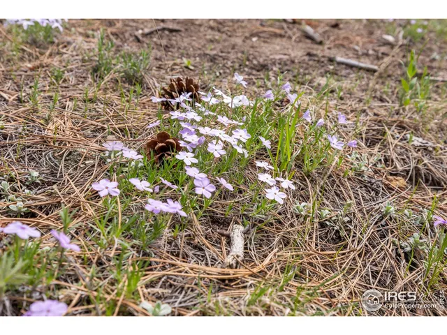 a view of city and mountain