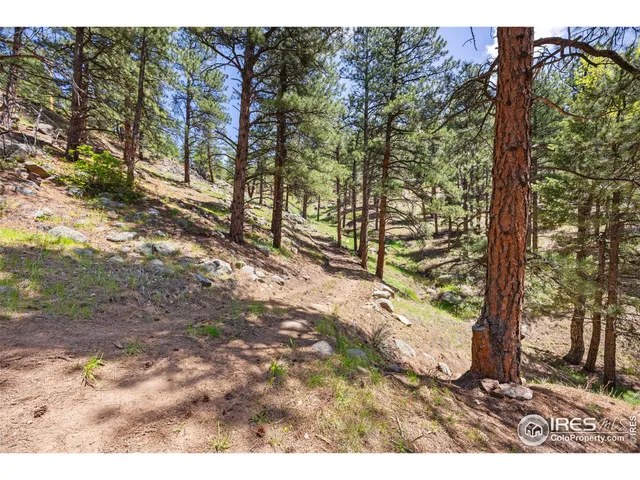 a view of a yard with plants and trees