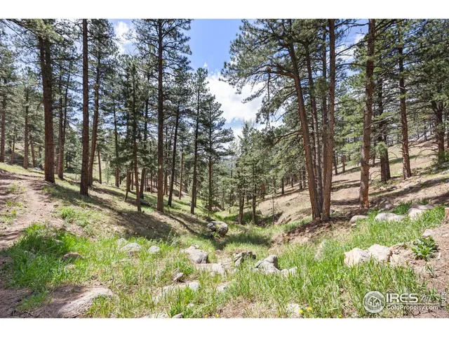 a view of a yard with large trees
