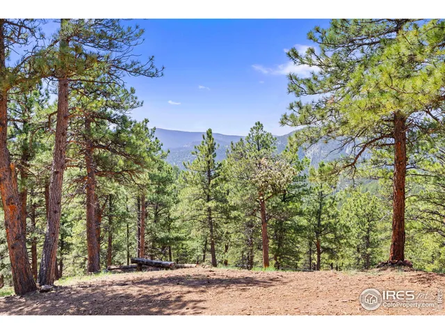 a view of a yard with plants and trees