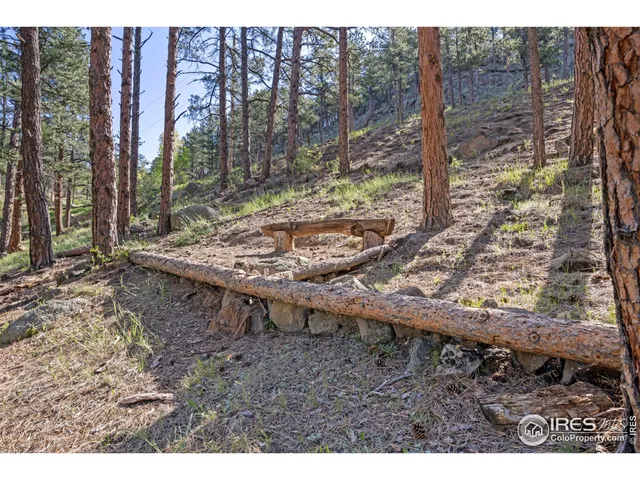 a view of a yard with plants and trees