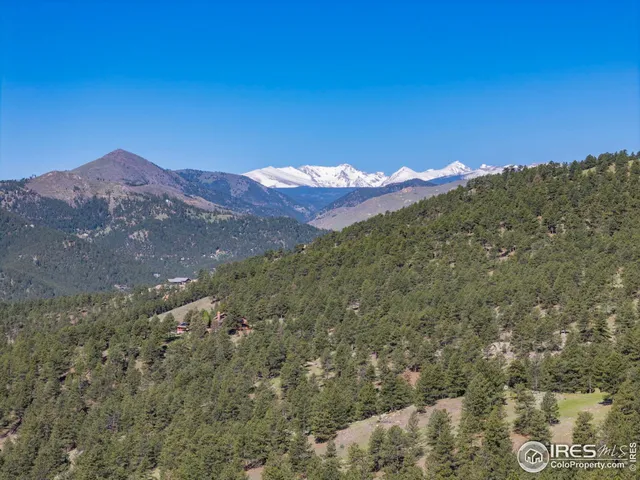 a close up of a tree