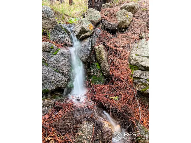 a picture of a wall with a forest