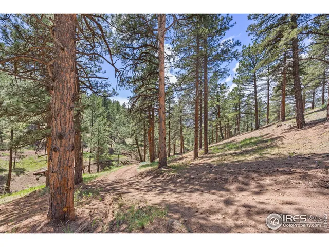 a backyard of a house with large trees