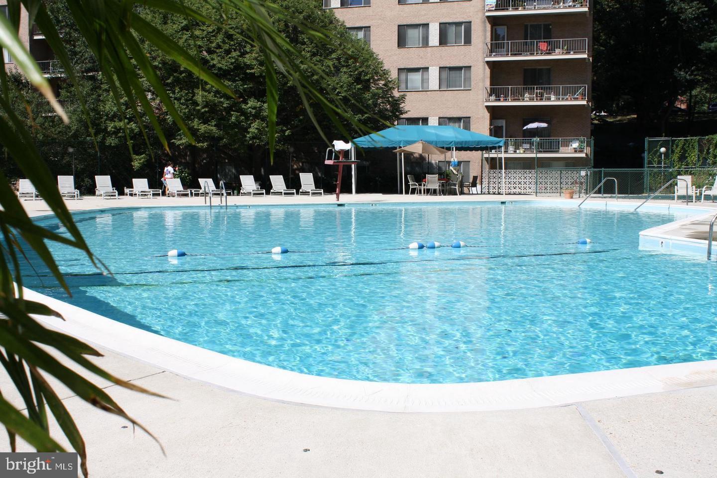 1900 Lyttonsville Road, Unit 618 Silver Spring, MD 20910 - Photo 35 of 36 Sunny oasis with a sparkling pool retreat.